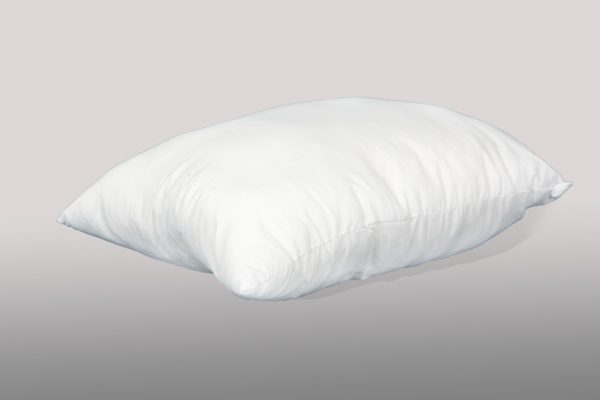 Padi 50x60cm 500g valge pallkiud täidis-ee