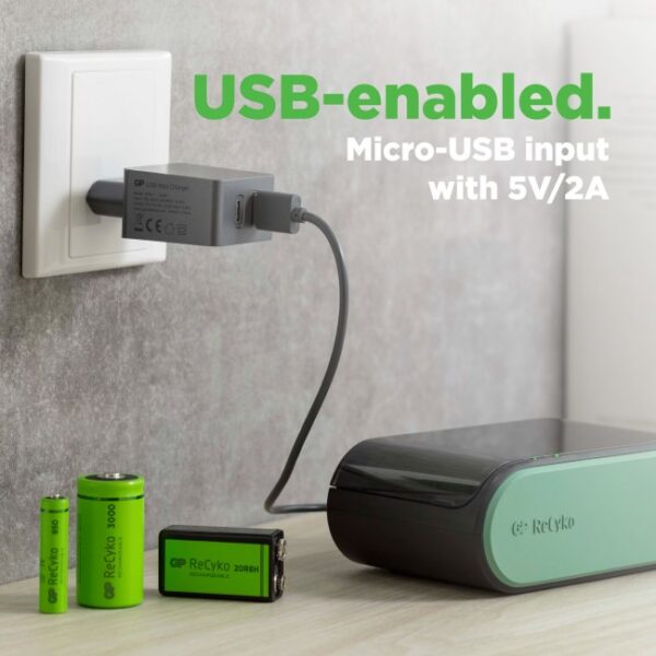 Universaallaadija ReCyko USB GP art B631 - Image 8