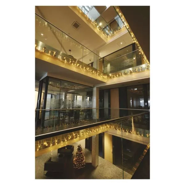 LED 50 jaapurikad, jatkatavad 0,4x3m, valge kaabel Profi WW IP44 EMOS - Image 3